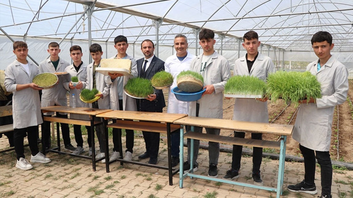 Tarım bölümü öğrencilerimiz, topraksız tarım yöntemiyle arpa tohumundan yeşil yem üretiyor. Maliyeti düşürecek bu yöntem bölgede büyük ses getirdi. Anadolu Ajansı bu başarıyı  haberlerine taşıdı.